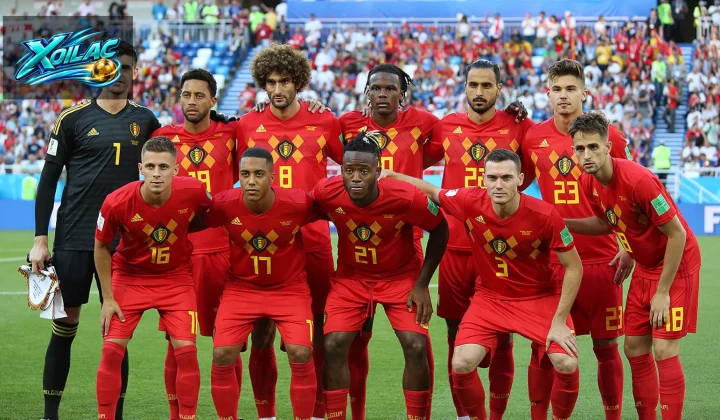 Đội tuyển Bỉ tại FIFA World Cup năm 2018