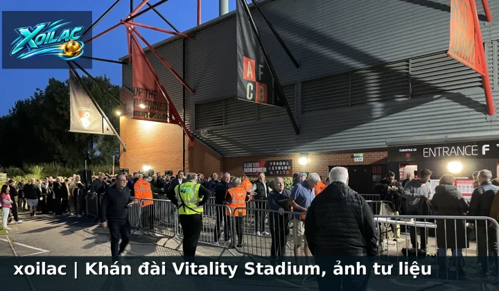 xoilac | Khán đài Vitality Stadium, ảnh tư liệu
