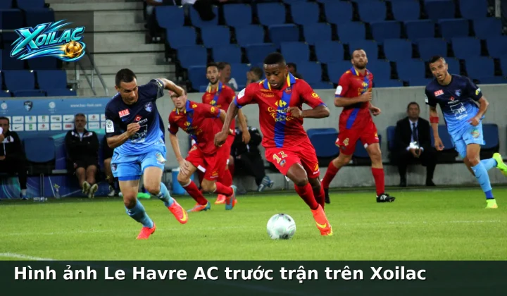 Hình ảnh Le Havre AC trước trận trên Xoilac