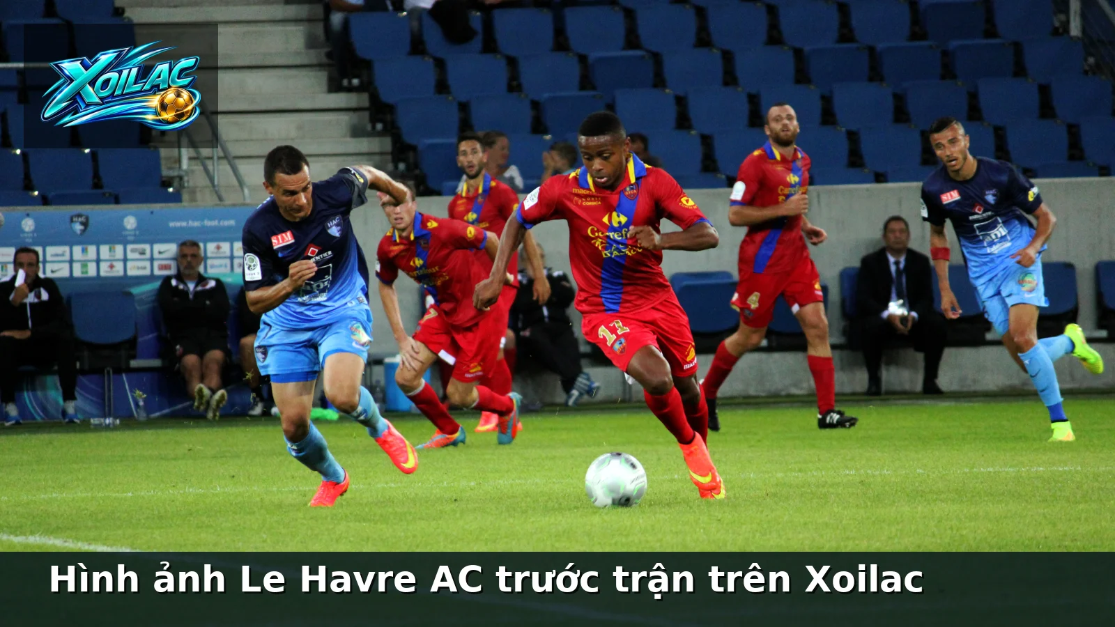 Hình ảnh Le Havre AC trước trận trên Xoilac