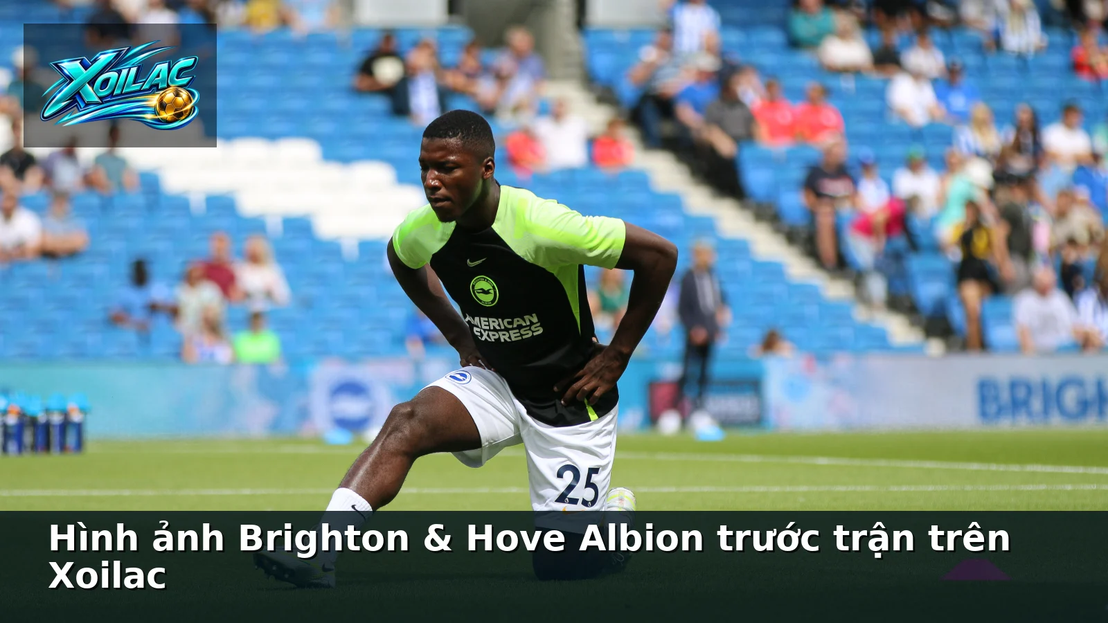 Hình ảnh Brighton & Hove Albion trước trận trên Xoilac Hình ảnh Brighton & Hove Albion trước trận trên Xoilac
