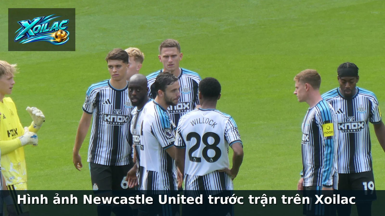 Hình ảnh Newcastle United trước trận trên Xoilac Hình ảnh Newcastle United trước trận trên Xoilac