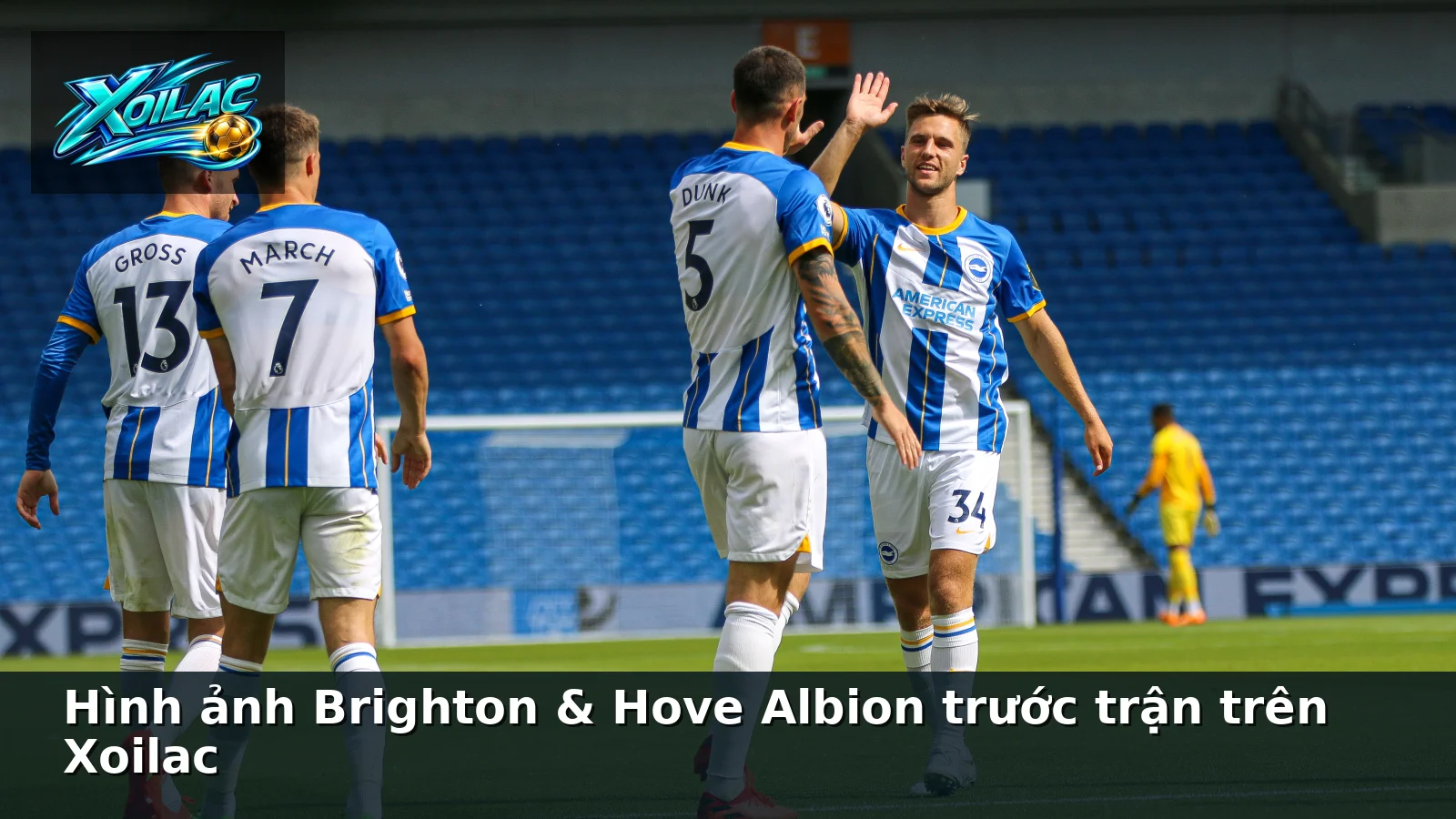 Hình ảnh Brighton & Hove Albion trước trận trên Xoilac Hình ảnh Brighton & Hove Albion trước trận trên Xoilac