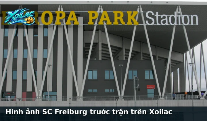 Hình ảnh SC Freiburg trước trận trên Xoilac