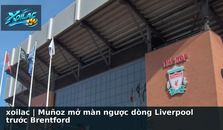 xoilac | Muñoz mở màn ngược dòng Liverpool trước Brentford