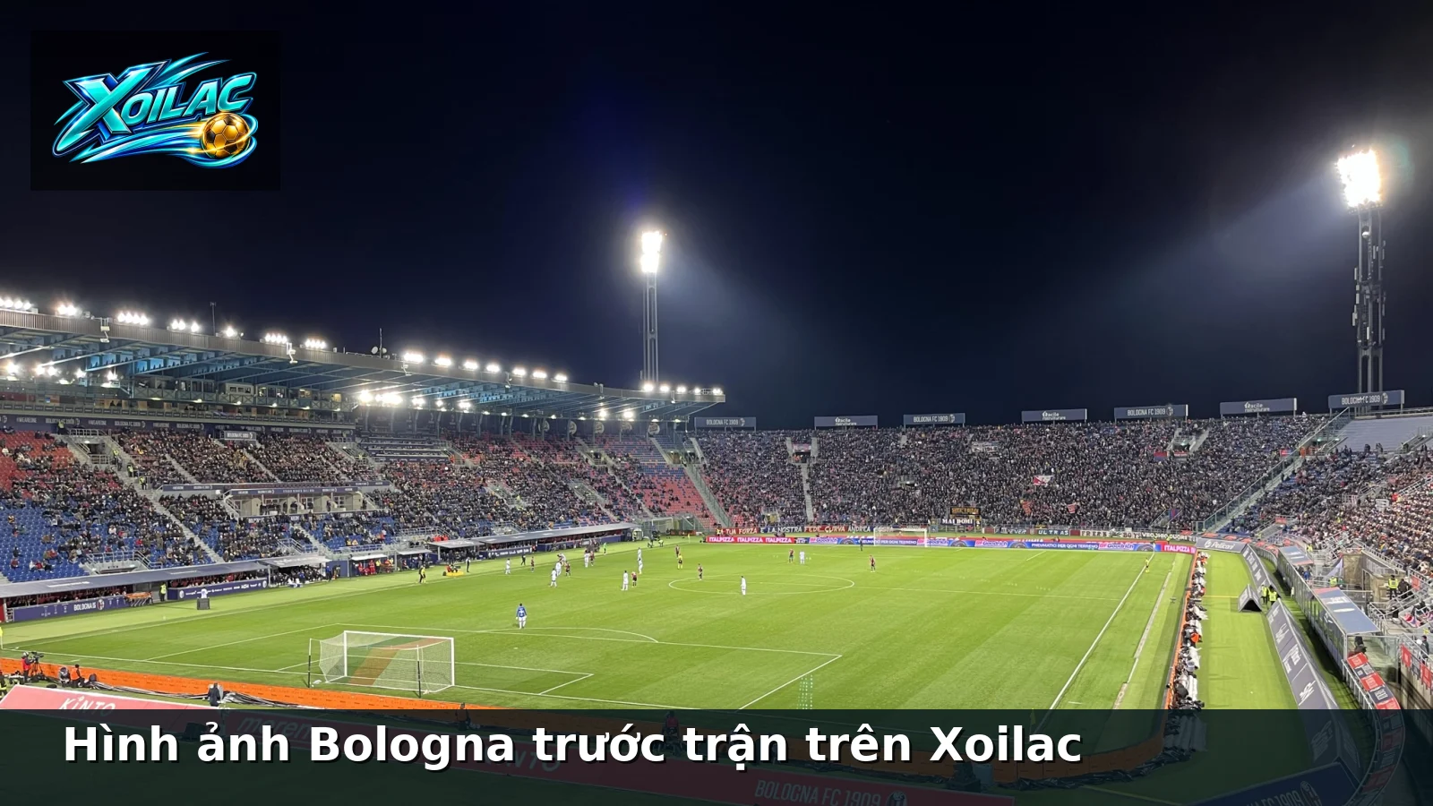 Hình ảnh Bologna trước trận trên Xoilac Hình ảnh Bologna trước trận trên Xoilac