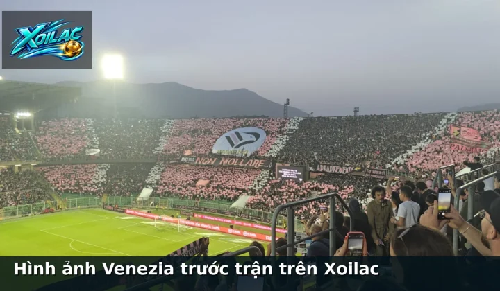 Hình ảnh Venezia trước trận trên Xoilac