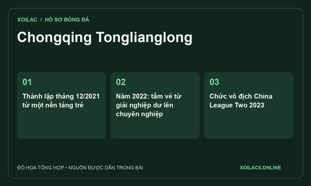 Đồ họa tóm tắt hồ sơ Chongqing Tonglianglong